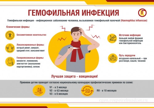 Профилактика гемофильной инфекции